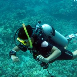 All Those Things You Wanted to Know About Scuba Diving (But Were Afraid to Ask)