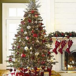 Advice For Choosing Christmas Trees Online