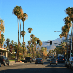 TOP FOUR PLACES TO VISIT IN PALM SPRINGS