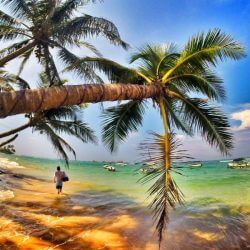 A Guide to the 5 Most Beautiful Cities and Towns of Sri Lanka