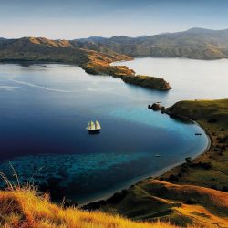 7 Reasons you should visit the Komodo Park