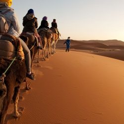 The best of Morocco Tours for You