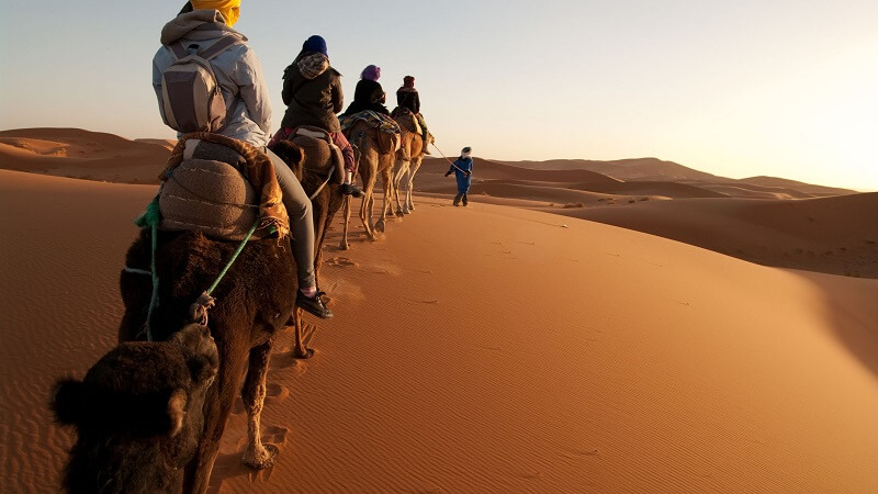 The best of Morocco Tours for You